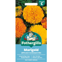 Fothergill's Marigold (African) Crackerjack Mixed Flower Seeds, 250 Seeds, Sow: