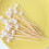 Disposable fruit stick color White Pearl fruit fork creative art sandwich stick fruit100pcs 5