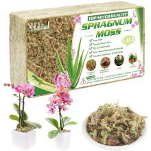 Halatool 500g Natural Sphagnum Moss for Plants, Succulents & Reptiles - Preserve