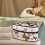 Pastel Butterflies Garment Steamer Case Portable Reusable 2