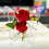 Acrylic Butterfly Flower Vase Transparent 1pc 5