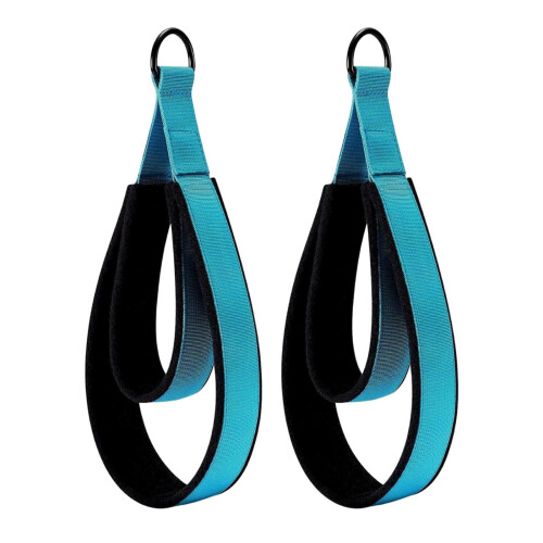 2 Pieces Pilates Double Loop Strap Exercise Strap Beginner D Rings Straps Handle Light Blue 2
