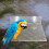 Acrylic Bird Perch Stand with Suction Cup for Parrot Cage 4