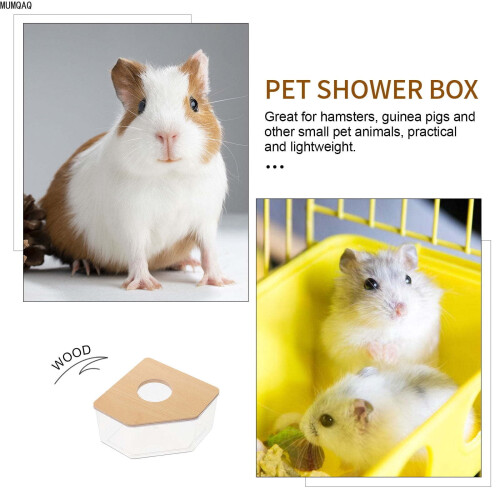 Clear Acrylic Sand Bath Container with Wooden Lid for Small 1