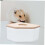 Clear Acrylic Sand Bath Container with Wooden Lid for Small 3