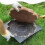 Concrete Step Stone Mold for Landscape Paving 2