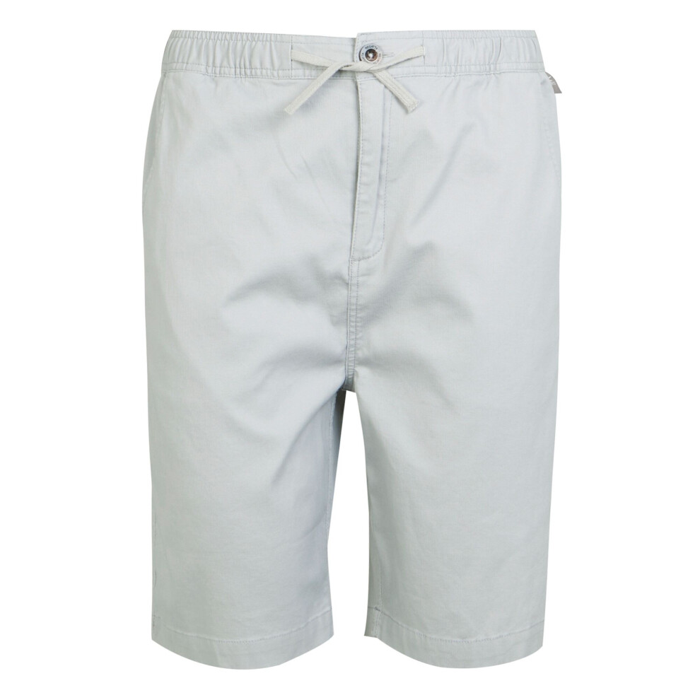 Regatta (36R, Silver Grey) Mens Aldan Chino Shorts