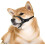 Nylon Dog Muzzle Adjustable Loop for Small Medium Large Dogs 6