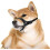 Nylon Dog Muzzle Adjustable Loop for Small Medium Large Dogs 6