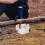 Hamster Cage Pet Carrier with Water Bottle 4