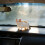Elegant Vehicle Interior Sculpture with Air Purifying Function and Aromatherapy for Car 3