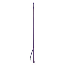 (One Size, Purple) HySCHOOL Riding Whip