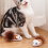 Cat Teaser Toy Plush Mouse for Kittens and Pets 8