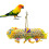 Parrot Perch Feeder Climbing Toy Colorful 8