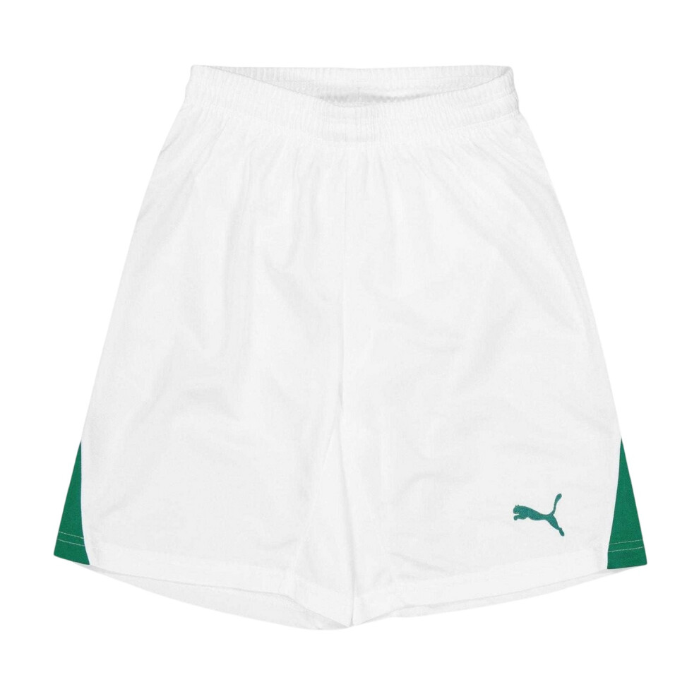 Puma (16 Years, White/Green) Childrens/Kids Team Logo Football Shorts