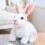 Bunny Doll Pillow Cushion for Bed Sofa 1 Pack 2
