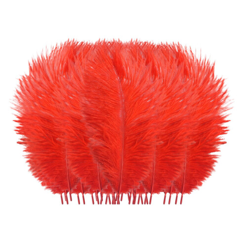 Floating Plume Feathers Natural Multicolor 50-Pack 20-25cm 1