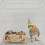Parrot Foraging Toy Box for Small Birds 8