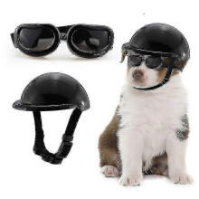 Conjunto de Capacete e Óculos de Proteção para Cão, Chapéu de Segurança Ajustável para Motocicleta, com Lentes para Anim