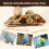 Parrot Foraging Toy Box for Small Birds 6