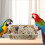 Parrot Foraging Toy Box for Small Birds 5