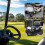 Leopard Print Steering Wheel Cover for Golf Cart 2
