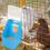 ibasenice 4Pcs Rectangular Pigeon Feeder for Outdoors with Large Design 4