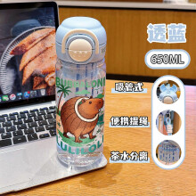 (1) 650ML Italian Brainrot Cartoon Large Capacity Plastic Straw Water Bottles Sports Water Bottle Portable Leak-proof Drinkware Cup