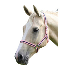(Small Pony, Pink/Navy) Wessex Horse Headcollar