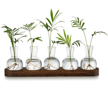 Plantera Terrarium Propagation Station, Glas Planter Bulb Vas med TräBricka, Moderna Budvaser för Vardagsrumskontoret