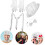Sequin Fedora Hat with Glitter Bow Ties Gloves Stylish Bling Dance Accessory 8