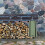 Heavy Duty Canvas Firewood Bag with Large Capacity and Versatile Use 6