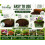 Coirology All Purpose Compost Block 5kg - Compressed Coco Coir Peat-Free Potting 8