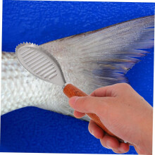 Fish Scale Remover Safe to Use Manual Fish Scraper Stainless Steel Practical Tool Lightweight