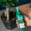 Westland Westland Bonsai Tree Feed Concentrate, 200 ml 2