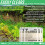 Elixir Gardens 8 x 100ml Glyphosate Sachet | 72g/l Deep Root-Killing Weed Killer 3