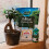 Westland Westland Bonsai Tree Feed Concentrate, 200 ml 5