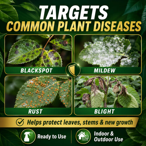 Fungus Defence Plus Spray 2.5L | Extra Large Plant Protection | Controls Blacksp 2