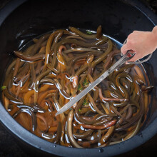 Pince à crabes en acier avec poignée ergonomique pour activités de plein air, outil de serrage en métal fiable et efficace