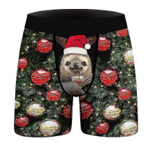 (2XL, F) Men's Funny 3D Print Christmas Boxer Briefs Boxer Shorts Underwear Gag Gift
