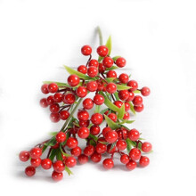 (Red) Ivy Red Berry Berries Bush Bouquet Christmas Vine Holly Xmas Festive Fern Home Office