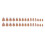 French Tip Fake Nails - Natural Edge, Stage Wear 3