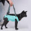 Harnais de levage pour chiens, aide à la-M Camouflage rose 8