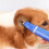 Two Choice Electric Pet hair Cutter With durability Cell-Silver 7