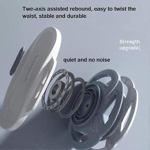 (Single, Pink) Split Double-Bearing Twisting Disc 2