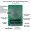 Schumann Wave Generator 7.83Hz Frequency Pulse Audio Resonator, 3