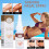 Black Aid Spray Deep Sunless Quick Self Tanner Mist UK 3