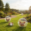 Rollable Chicken Cage for Yard - Plastic Ball 6