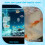 Simple Setups Aquariums Feeders Circle Transparents-square1 8