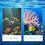 Simple Setups Aquariums Feeders Circle Transparents-square1 9